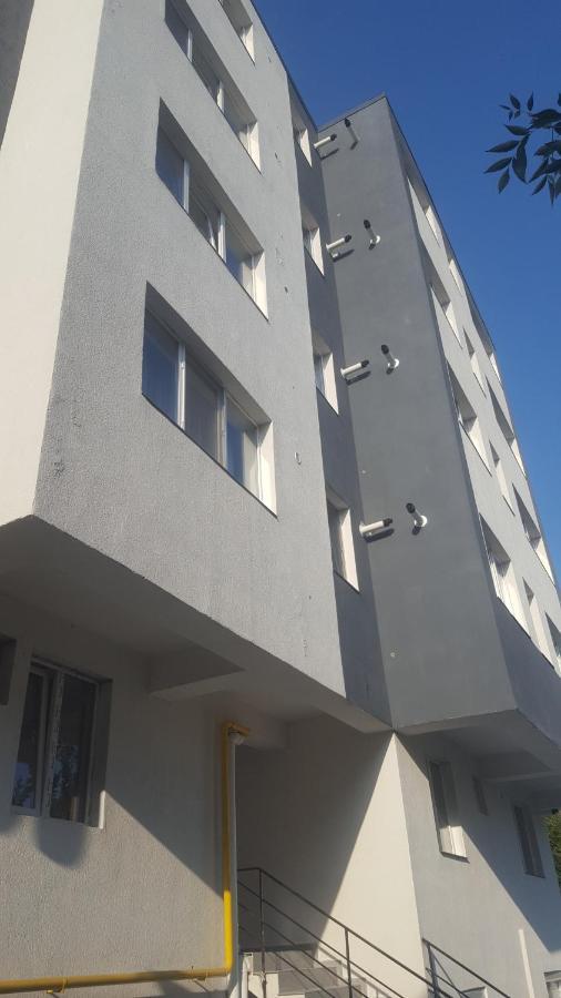 Modern & Elegant Apartament Craiova Exterior foto